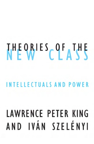 Theories of the New Class : intellectuals and power